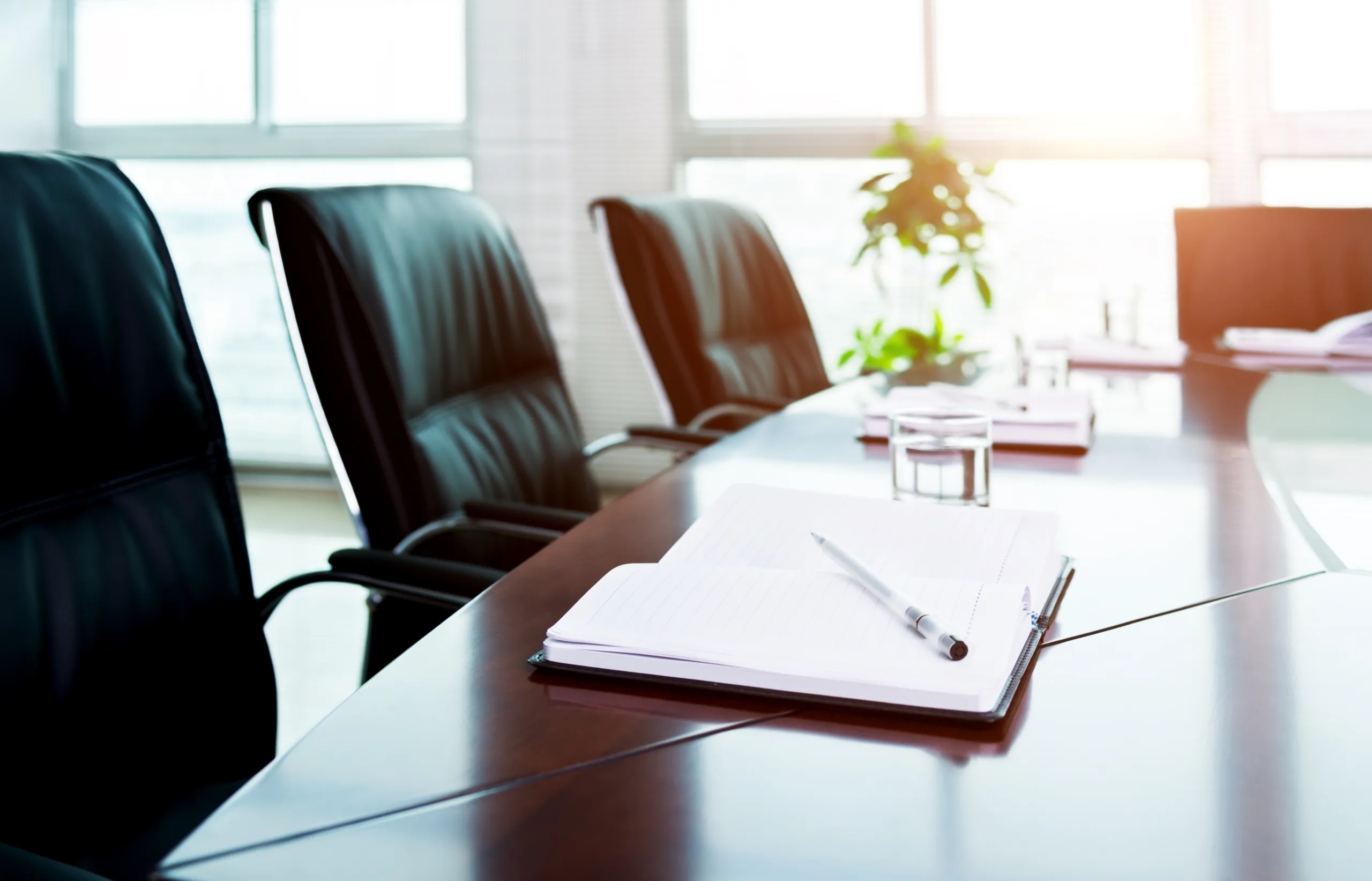 Corporate Compliance Lawyers in Sandy Utah